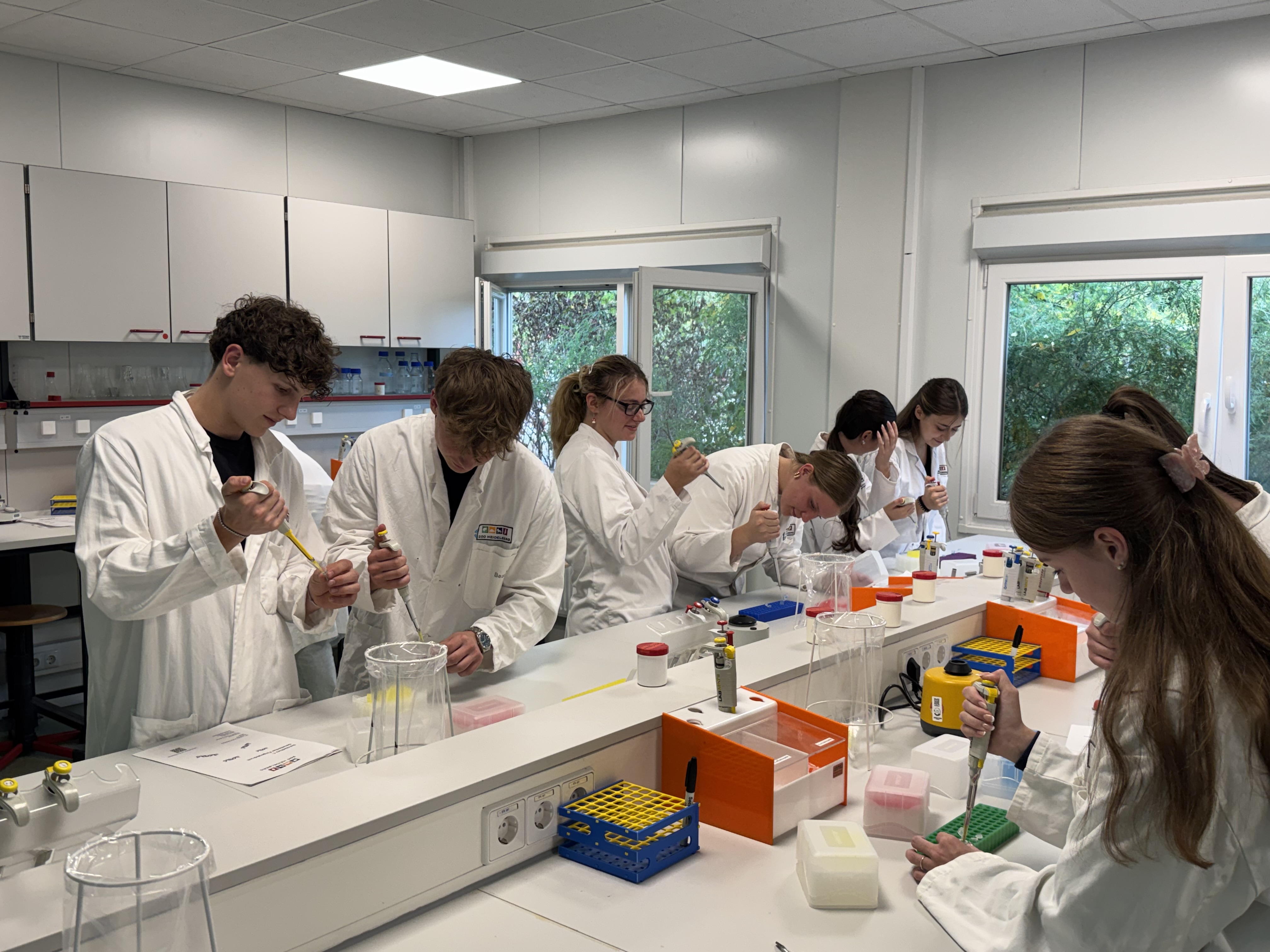 Vorbereitungen zur PCR Vorbereitungen zur PCR